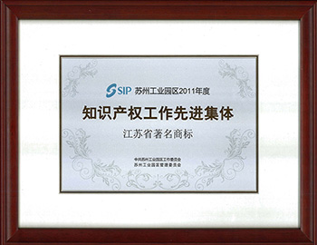知识产权先进集体