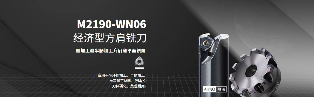 M2190-WN06